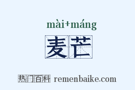 麦芒是什么意思的图片